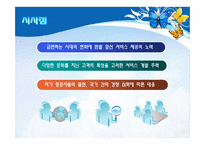 싱가포르 항공의 서비스 경영사례-15