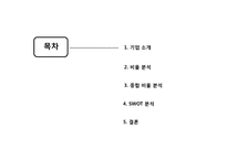 대림산업 경영분석컨설팅-2