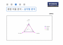 대림산업 경영분석컨설팅-19