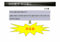 [국제경영] SK커뮤니케이션즈 싸이월드 해외진출전략-3