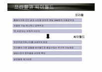 [국제경영] SK커뮤니케이션즈 싸이월드 해외진출전략-5