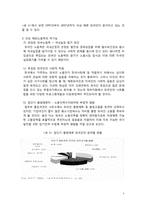 한국 해외노동력의 현황(원인, 실태, 문제점)과 대안에 관하여-6