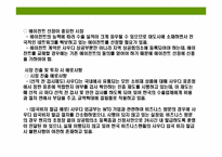 사우디아라비아(Saudi Arabia)의 이해 및 시장 진출 전략-16
