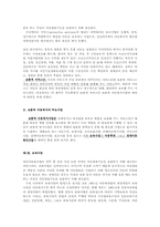 보충적 아동복지의 주요사업00-2