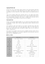 애플 분석 레포트-9