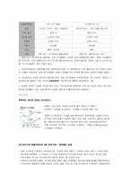 애플 분석 레포트-10