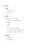 아시아나 항공의 인터넷 마케팅-1