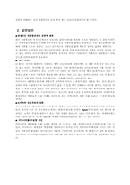 아시아나 항공의 인터넷 마케팅-12