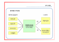 [재무관리] 넥센타이어 재무제표분석-7