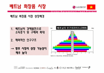 [국제경영] LG생활건강의 베트남 진출 과정-15