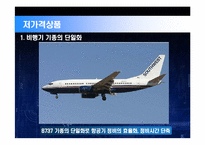[경영] 사우스웨스트 성공사례-4