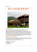 [사회과교육] 태국과 네팔로의 공정여행-9