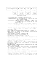 인지이론 레포트-12