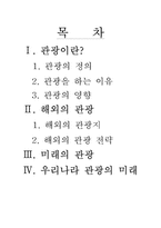 우리나라 관광의 미래-1