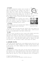 미국의 교정행정-12