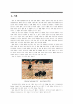 벤야민과 정보화 사회 속의 아우라-3