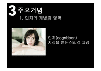 인지이론 레포트-7