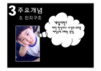 인지이론 레포트-13