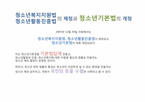 [사회복지정책론] 청소년활동진흥법-3