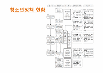 [사회복지정책론] 청소년활동진흥법-6