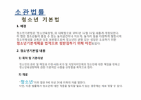 [사회복지정책론] 청소년활동진흥법-10