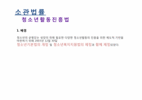 [사회복지정책론] 청소년활동진흥법-12