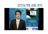 전자상거래 유형 장단점 문제점-12