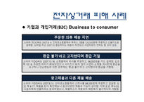 전자상거래 유형 장단점 문제점-19