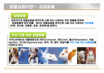 [동물실험] 동물을 대상으로한 실험-5