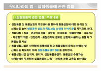 [동물실험] 동물을 대상으로한 실험-16