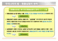[동물실험] 동물을 대상으로한 실험-18