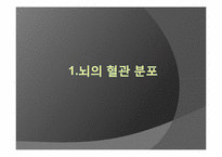 [신경해부] 청각경로-3