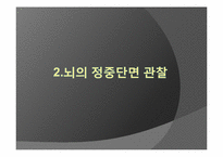 [신경해부] 청각경로-18