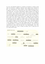 백년의 고독 레포트-3