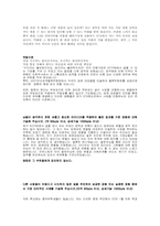 STX 자소서 레포트-2