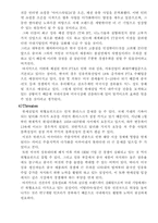 [국제경영] 글로벌기업의 해외진출 성공사례 - 한세실업-15