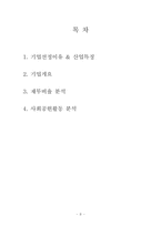 [재무관리] 아모레퍼시픽 & LG생활건강(~2009)-2