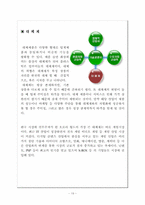 [경영전략] 오로라 월드 환경분석-13