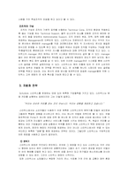 [경영학] 스타벅스의 마케팅, 조직구조 분석-11