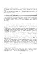 [인적자원관리] 마이크로소프트사의 HRM시스템 분석과 MS의 미래-6