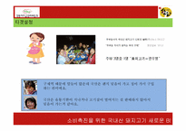 [마케팅] 국산돼지고기 소비촉진을 위한 커뮤니케이션 전략-15