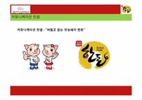 [마케팅] 국산돼지고기 소비촉진을 위한 커뮤니케이션 전략-17