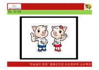 [마케팅] 국산돼지고기 소비촉진을 위한 커뮤니케이션 전략-19