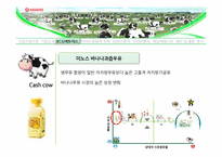 [경영학] 서울우유 기업분석 및 전략 제안-9