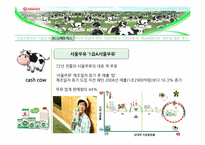 [경영학] 서울우유 기업분석 및 전략 제안-10