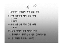 [국제경영] 유통기업의 해외진출-2