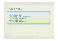 [소비자행동] 태도와 관광소비자 행동-8
