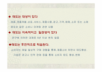 [소비자행동] 태도와 관광소비자 행동-11