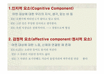 [소비자행동] 태도와 관광소비자 행동-19