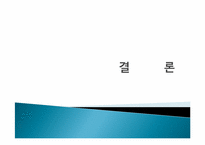 [소비트랜드] 소비자삶에 나타난 홀씨족과 뿌리족-13